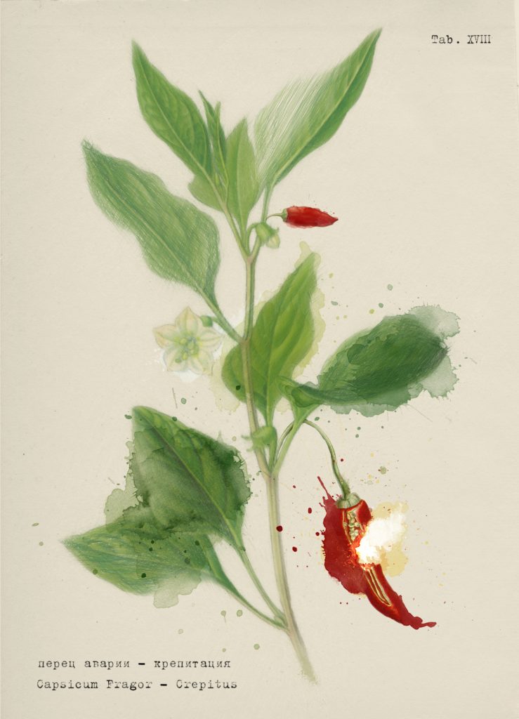 Crepitus