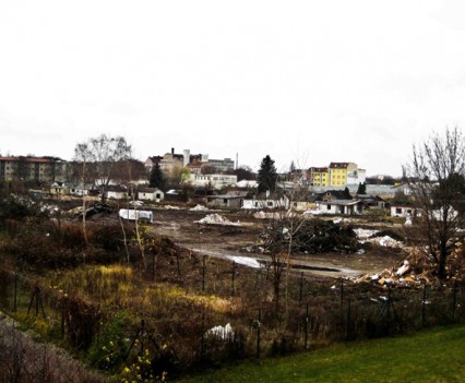 Down of the Colony