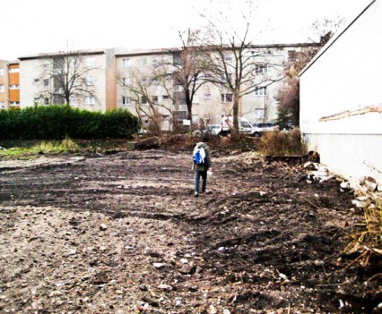 Down of the Colony