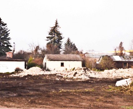 Down of the Colony