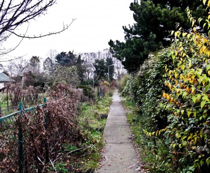 BushKrug Kolonie BushKrug Kolonie