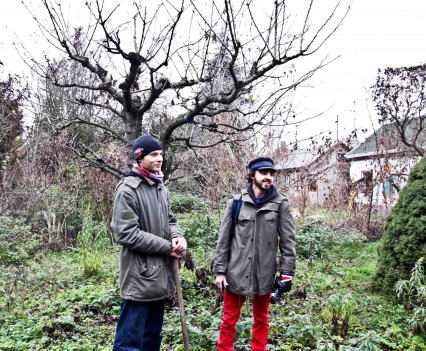 BushKrug Kolonie BushKrug Kolonie