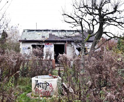 BushKrug Kolonie BushKrug Kolonie