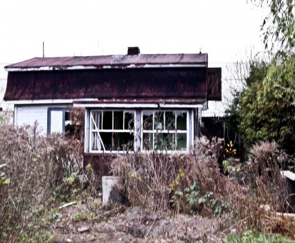 BushKrug Kolonie BushKrug Kolonie