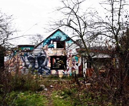 BushKrug Kolonie BushKrug Kolonie