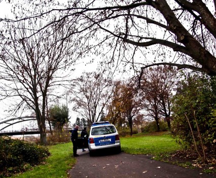 BushKrug Kolonie BushKrug Kolonie