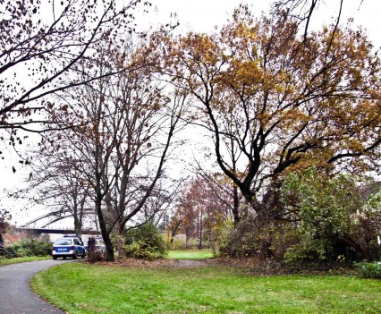 BushKrug Kolonie BushKrug Kolonie