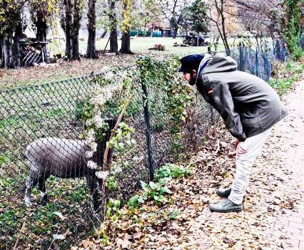 BushKrug Kolonie BushKrug Kolonie