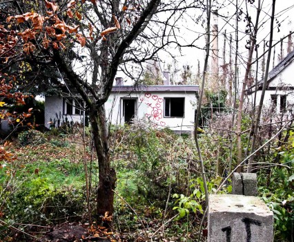 BushKrug Kolonie BushKrug Kolonie