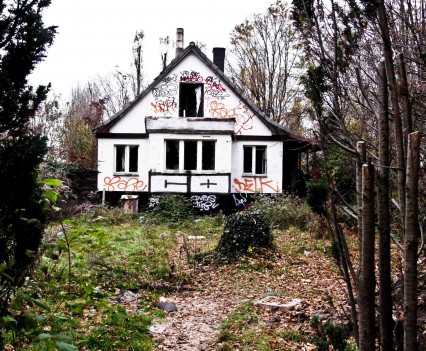 BushKrug Kolonie BushKrug Kolonie