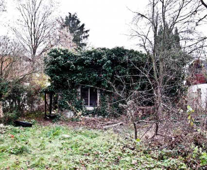 BushKrug Kolonie BushKrug Kolonie