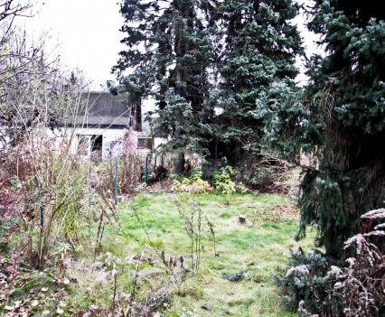 BushKrug Kolonie BushKrug Kolonie