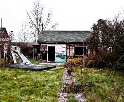 BushKrug Kolonie BushKrug Kolonie