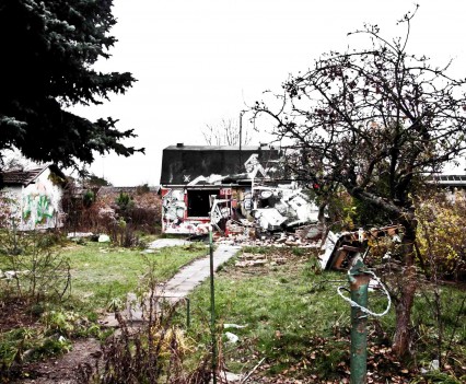 BushKrug Kolonie BushKrug Kolonie