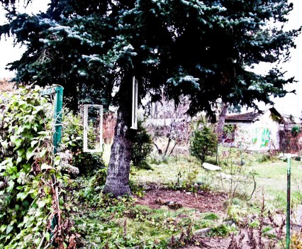 BushKrug Kolonie BushKrug Kolonie