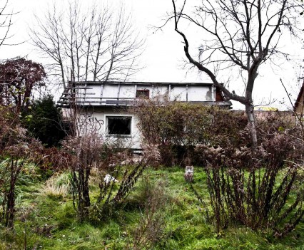 BushKrug Kolonie BushKrug Kolonie