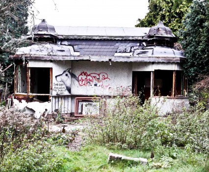 BushKrug Kolonie BushKrug Kolonie