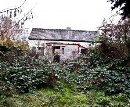 BushKrug Kolonie BushKrug Kolonie