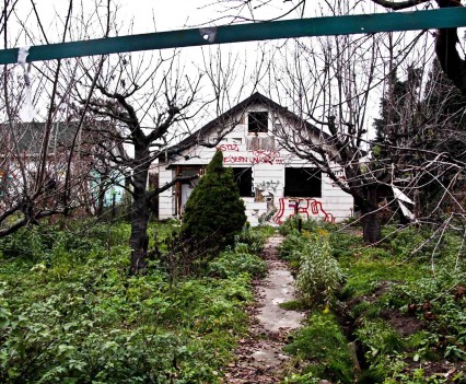 BushKrug Kolonie BushKrug Kolonie