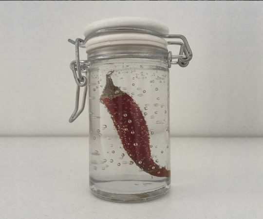 Capsicum Fragor