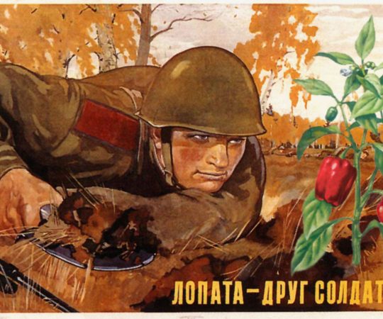 Explosive Paprika II